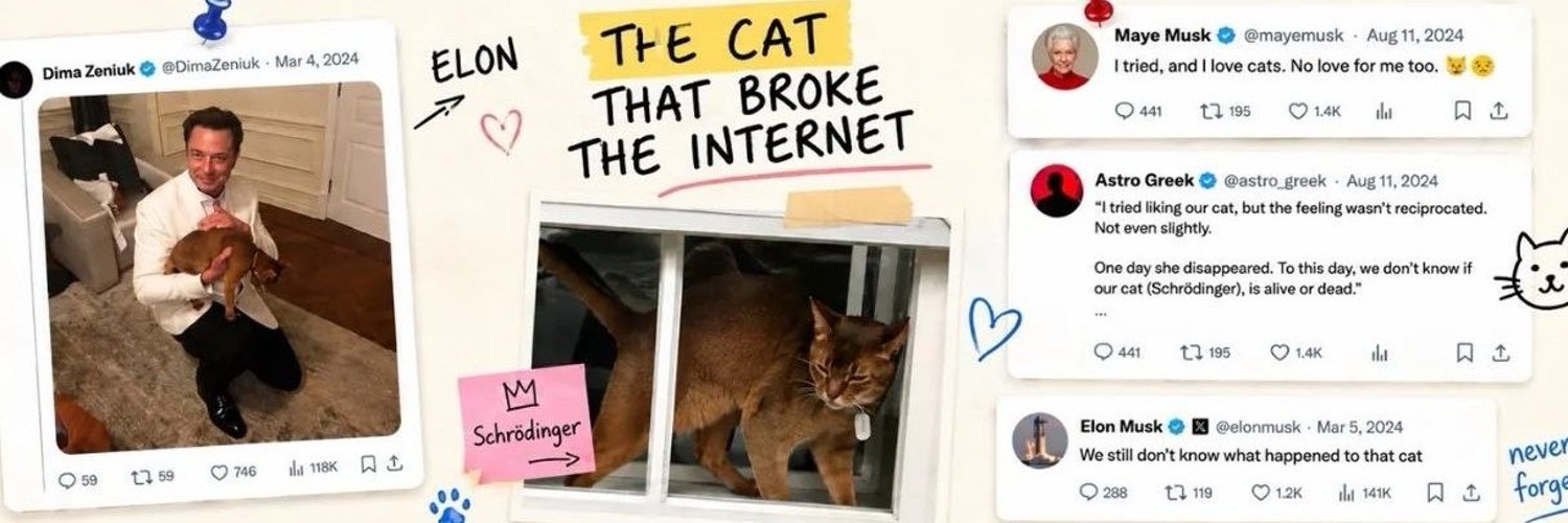 Elon Cat banner
